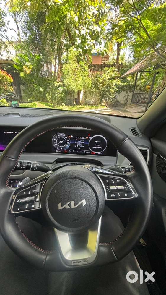 Kia Seltos Petrol 18000 Km Driven
