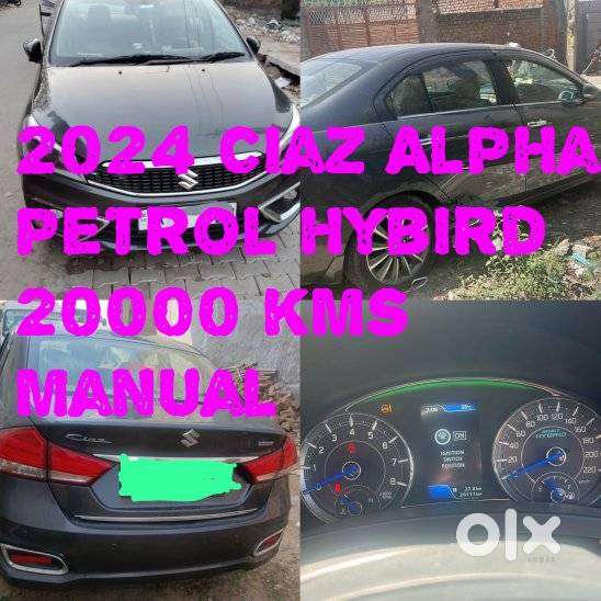 Maruti Suzuki Ciaz Alpha 1.5, 2024, Petrol