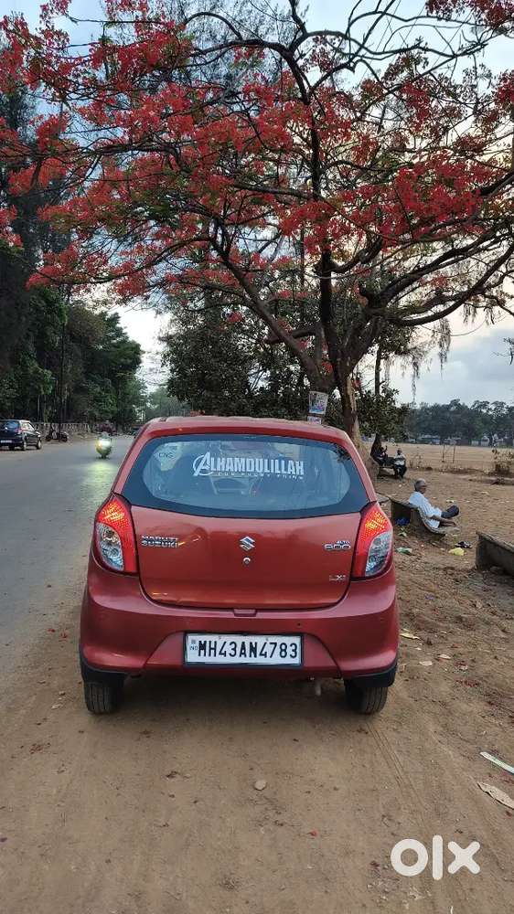Alto 800 Petrol Cng