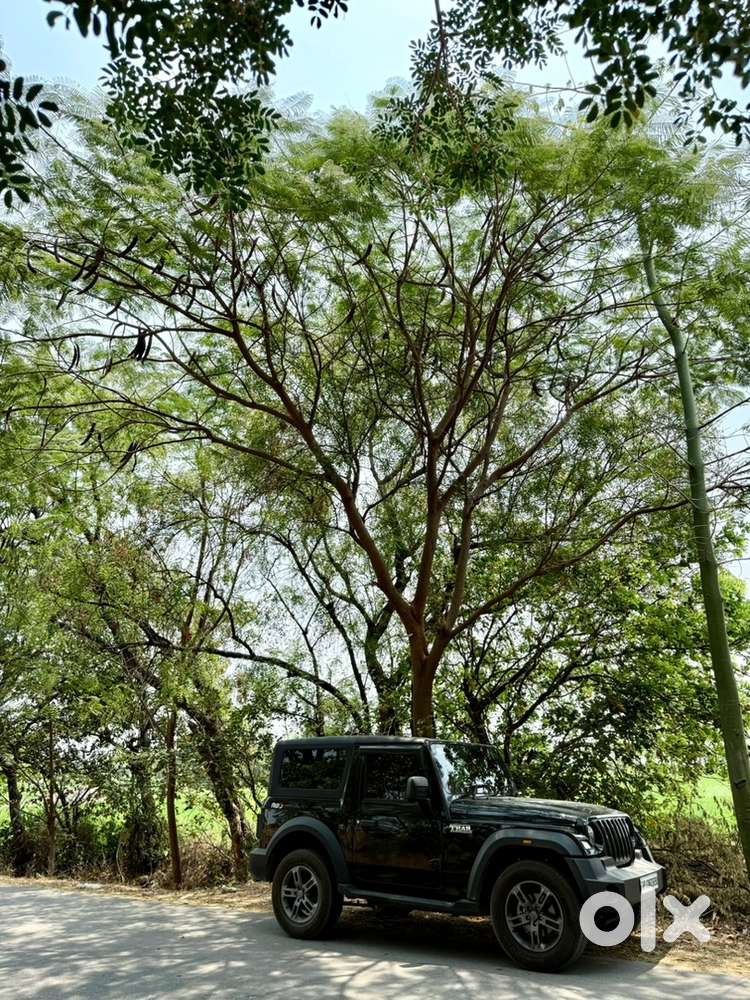 Mahindra Thar 2026 Diesel 15000 Km Driven