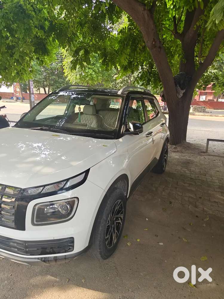 Hyundai Venue 2023 Petrol 59000 Km Driven