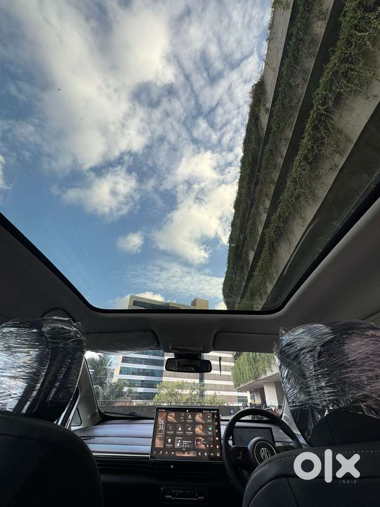 Mg Windsor Ev Essence, 2025, Electric