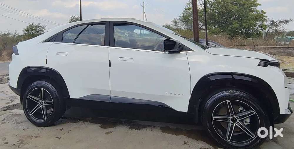 Tata Curvv 2024 Petrol Well Maintained