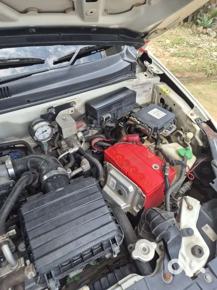 Maruti Suzuki Alto 800 2020 Variant