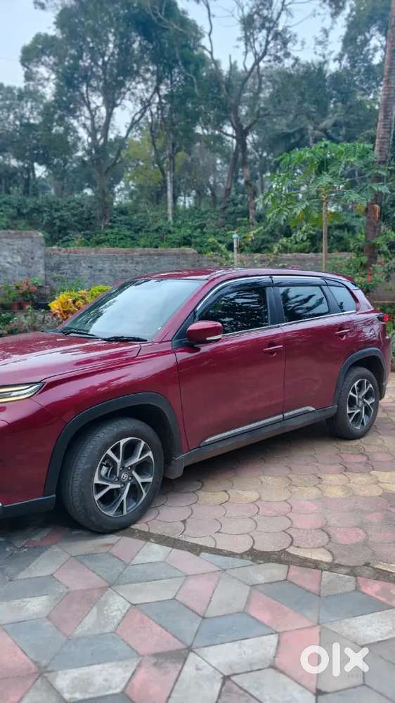 Toyota Urban Cruiser - Direct Owner