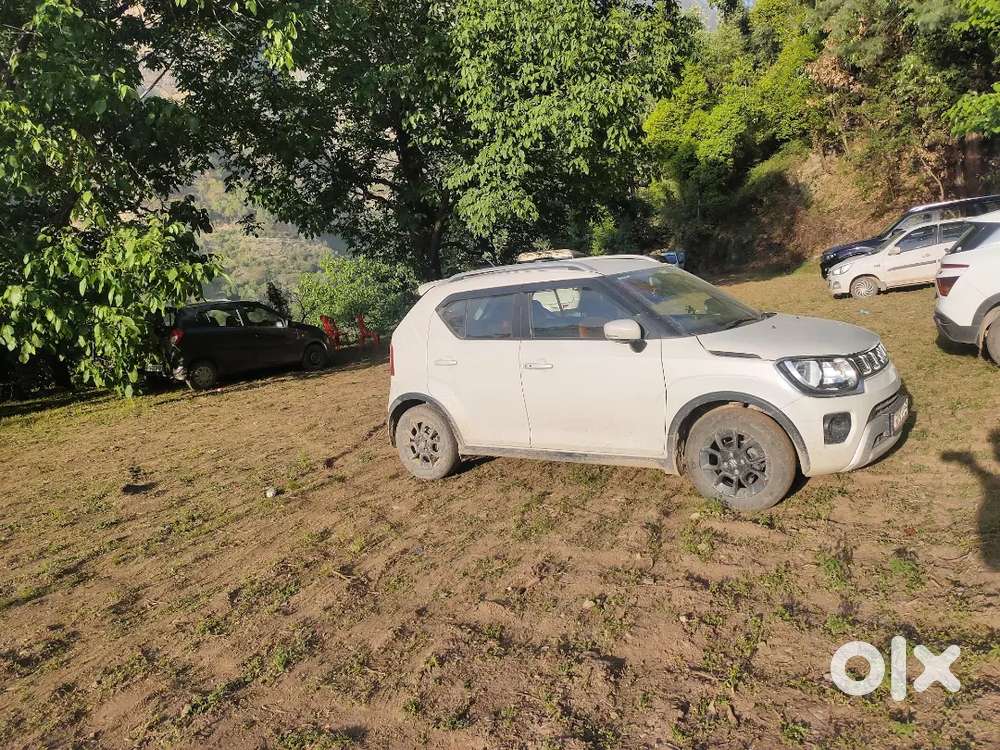 Ignis Zeta White 2020 Manual