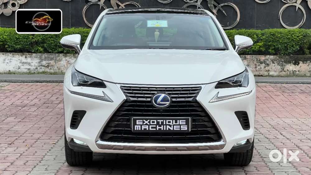 Lexus Nx, 2020, Petrol