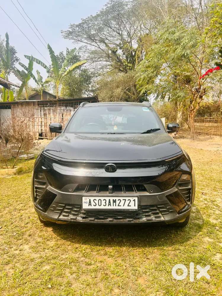 Tata Nexon 2024 Petrol 23000 Km Driven