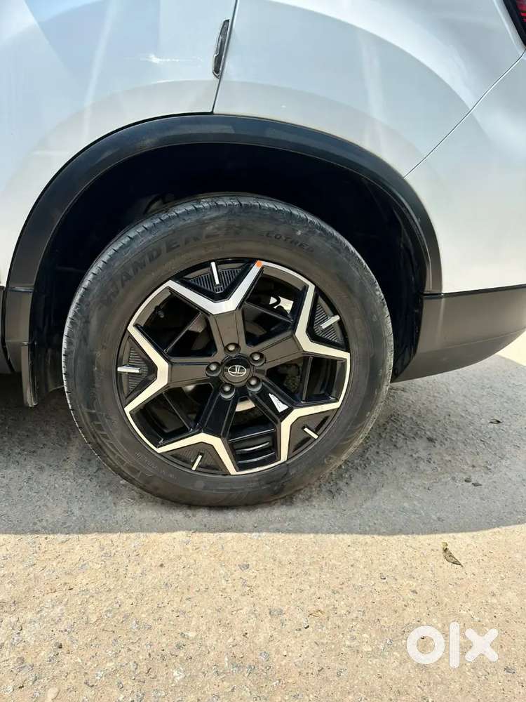 Tata Safari 2024 Diesel 50000 Km Driven