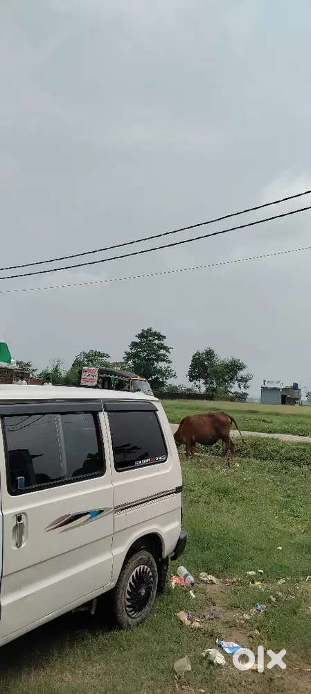 Maruti Suzuki Omni 2009 Petrol