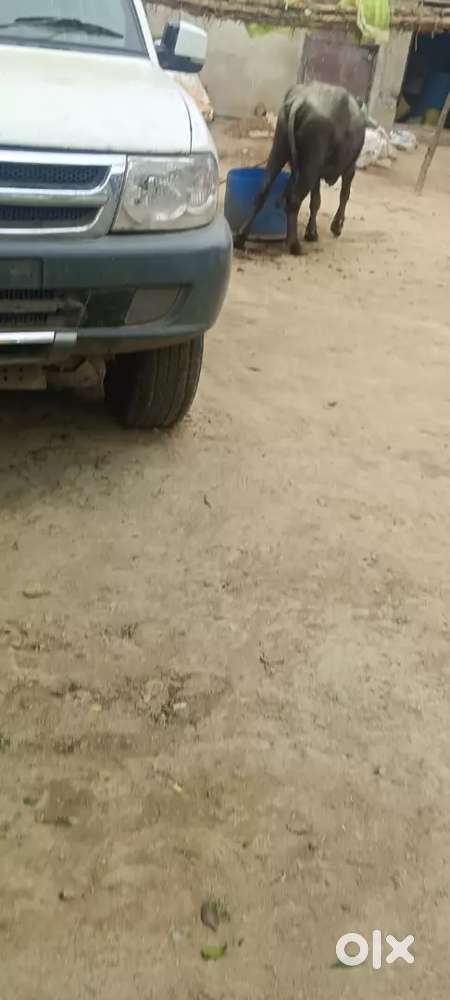 Problem Ki Warranty Nahi Hai