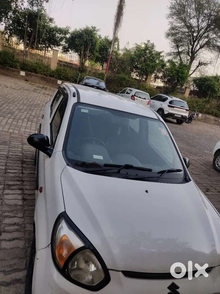 Alto 800 Scratchless For Sale