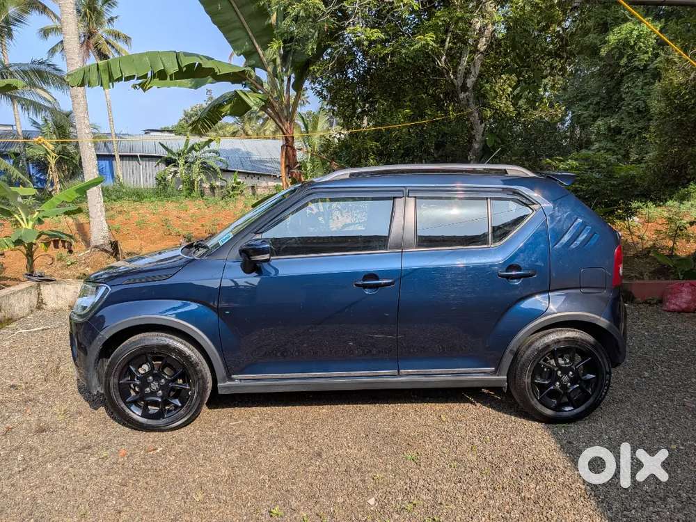 Maruti Suzuki Ignis 2024 Petrol 11800 Km Driven