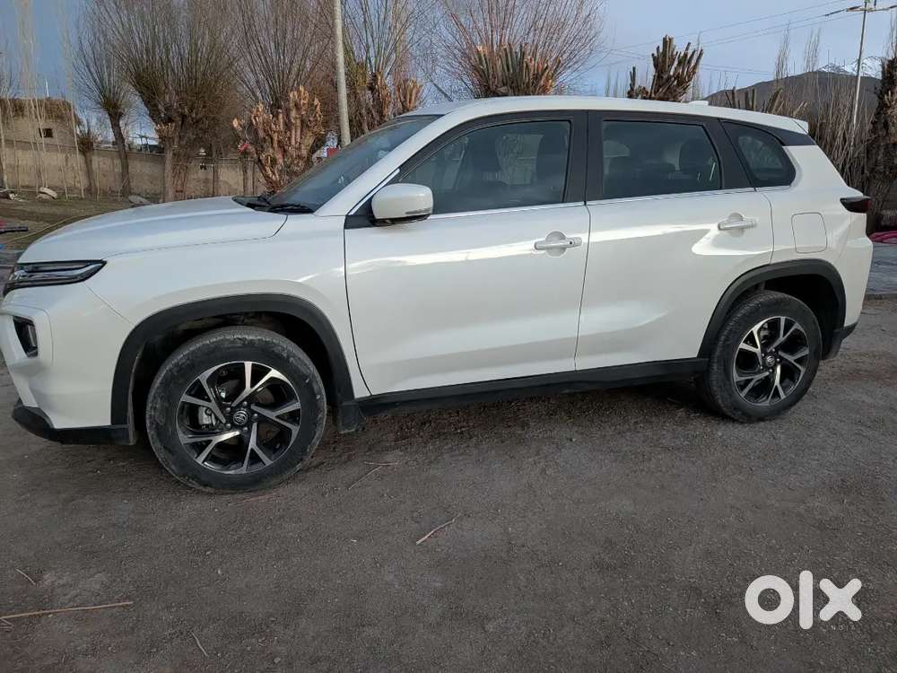 Toyota Urban Cruiser 2024