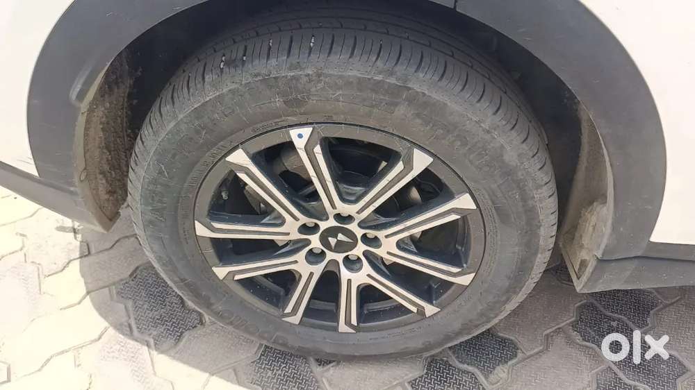 Tyer New, Mint Condition