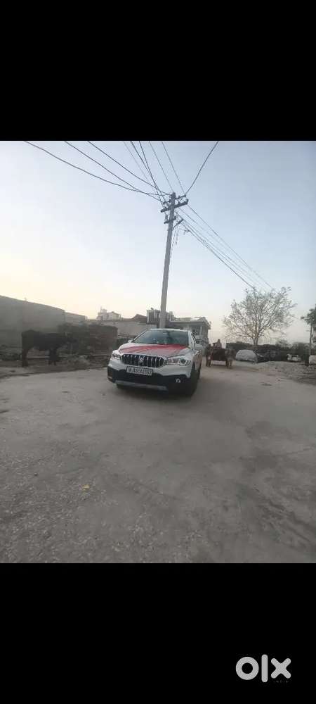 Maruti Suzuki S-cross 2022 Petrol Manual
