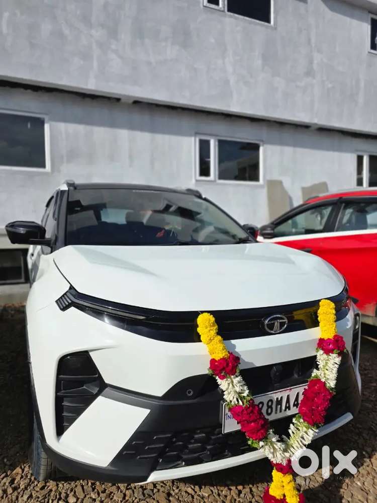 Tata Nexon Creative Plus 2024