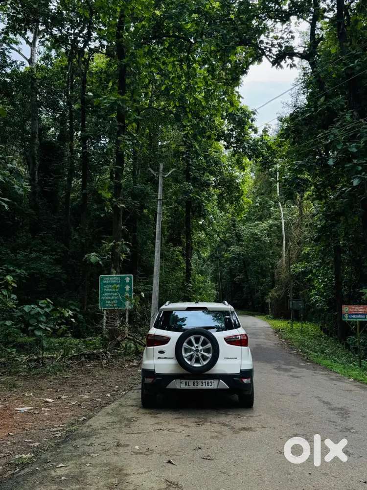 Ford Ecosport 1.5 Petrol Manual First Owner Family Used Car For Sale