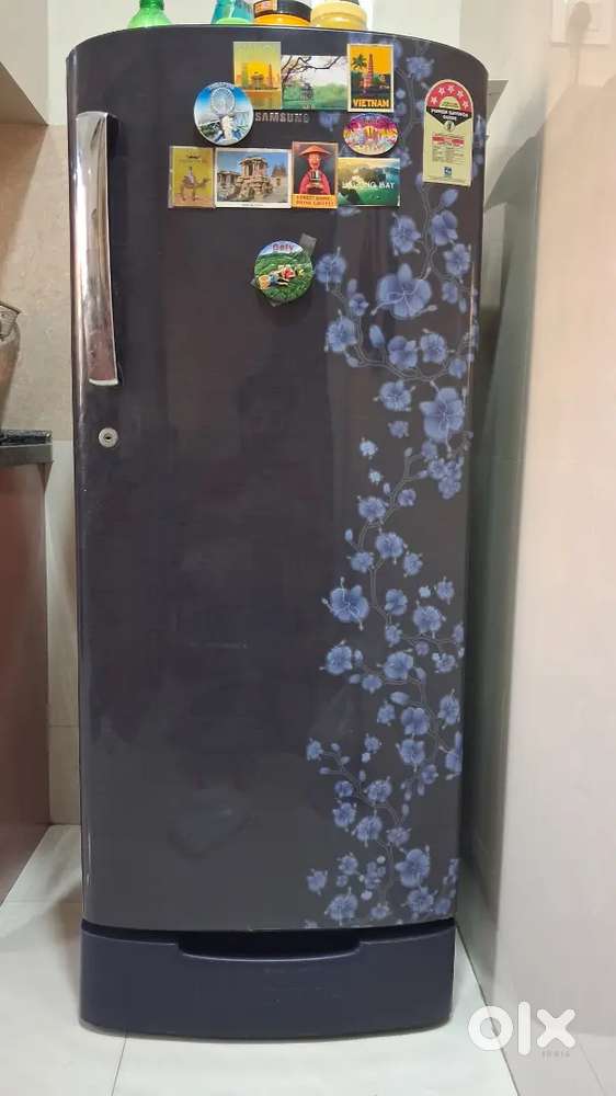 Samsung Fridge