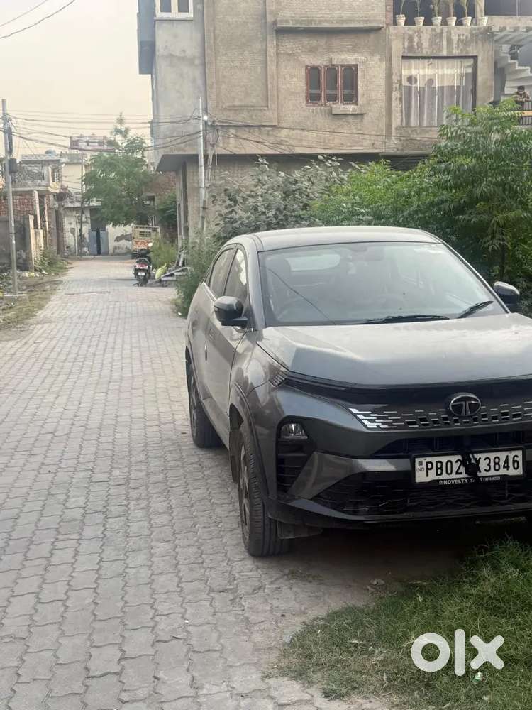 Tata Curvv 2024 Petrol Well Maintained