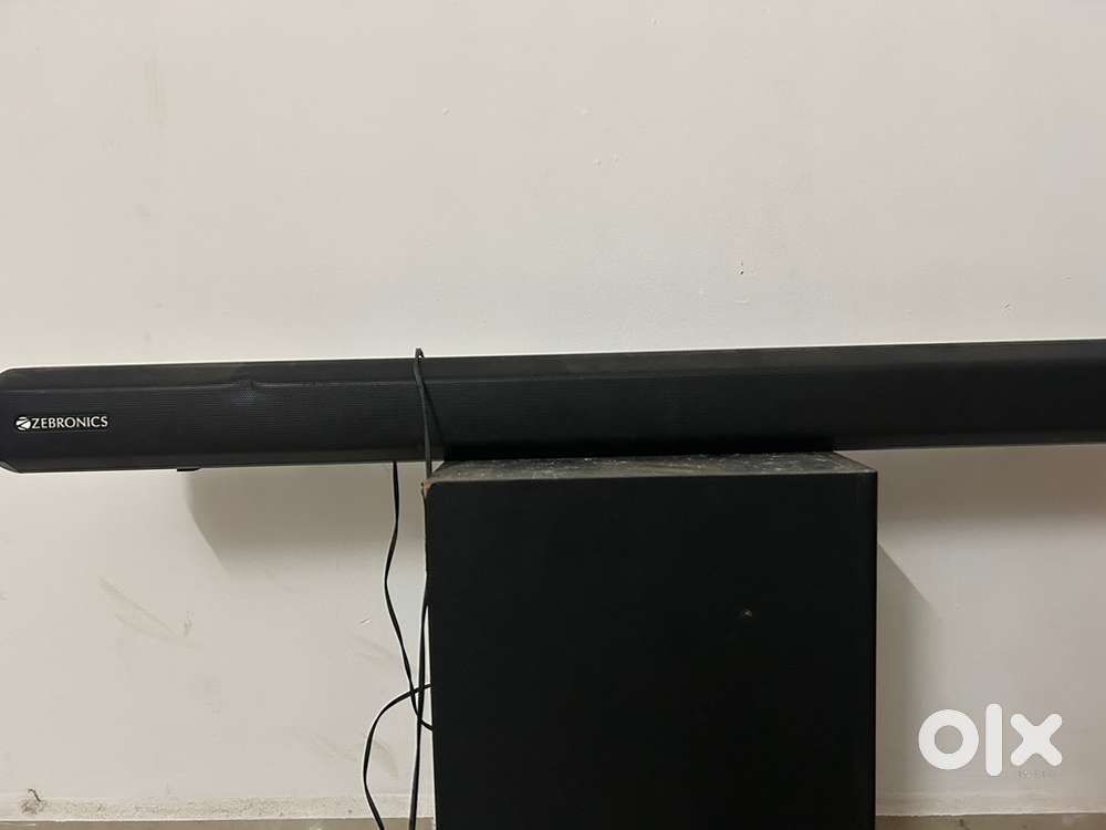 Zebronic speaker