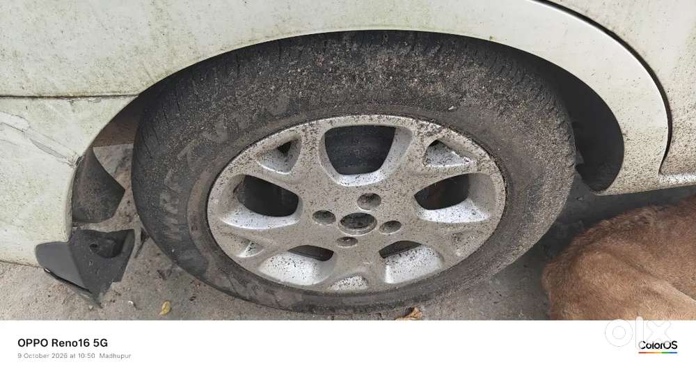Renault Scala Diesel Manual 2013 Variant