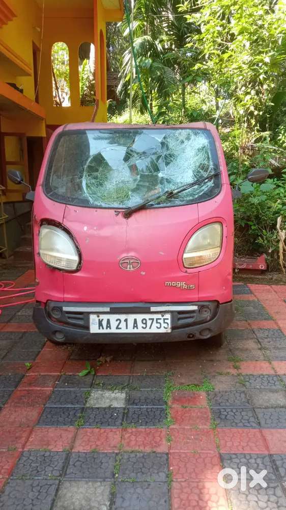 Tata Ace Irish Magic