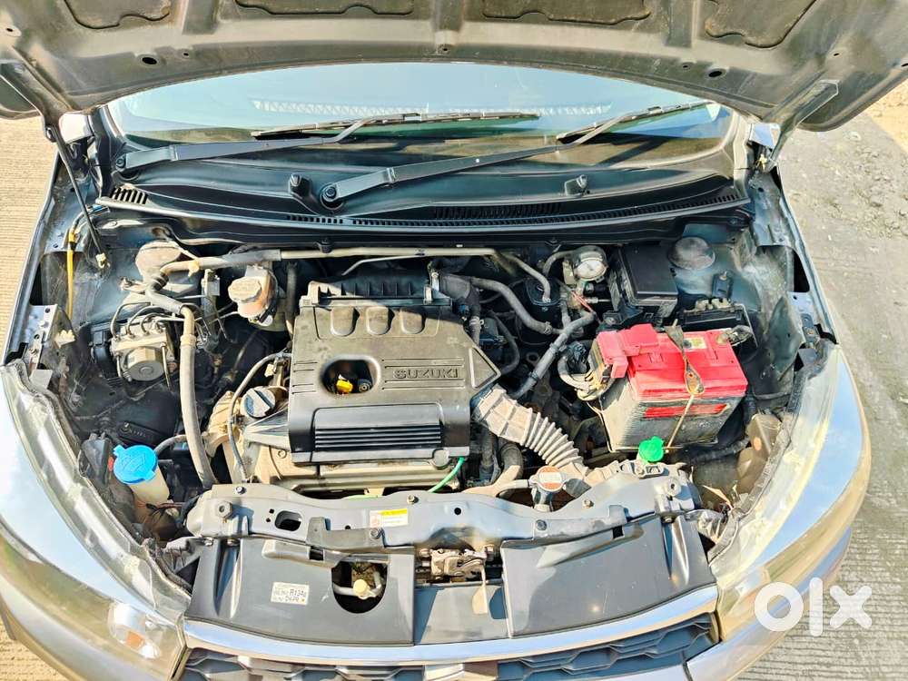 Maruti Suzuki Celerio 2021-1.0 Vxi Cng Mt, 2021, Cng & Hybrids