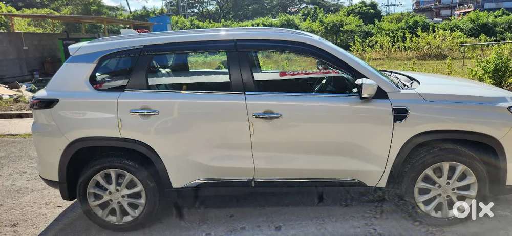 Maruti Suzuki Grand Vitara 2024 Petrol 11000 Km Driven