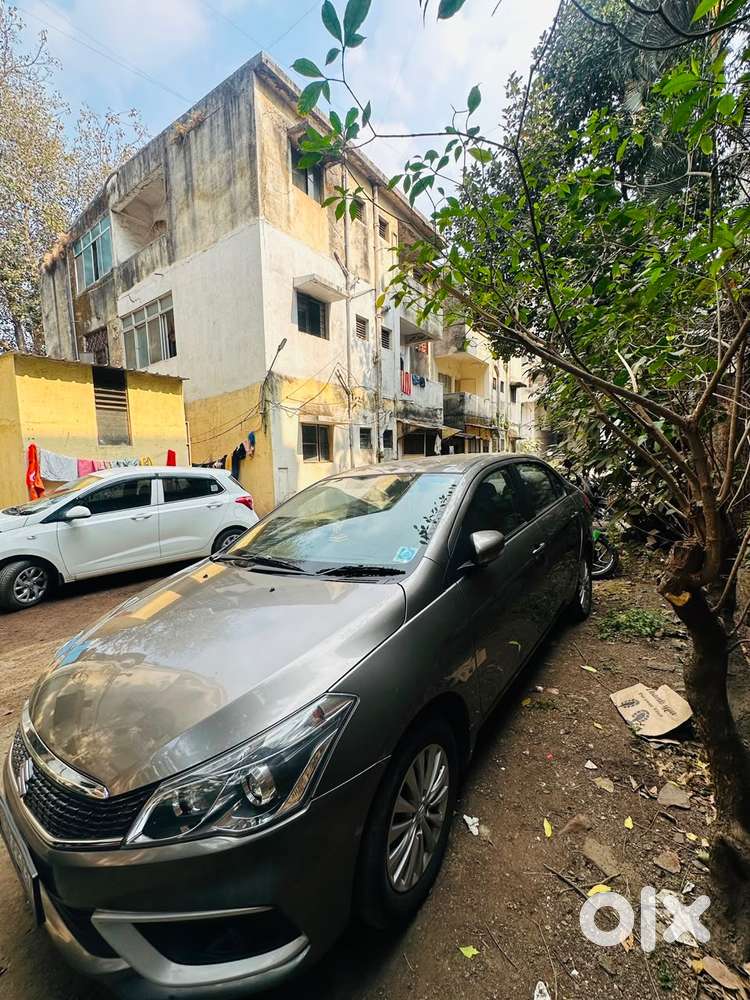 Ciaz Alpha