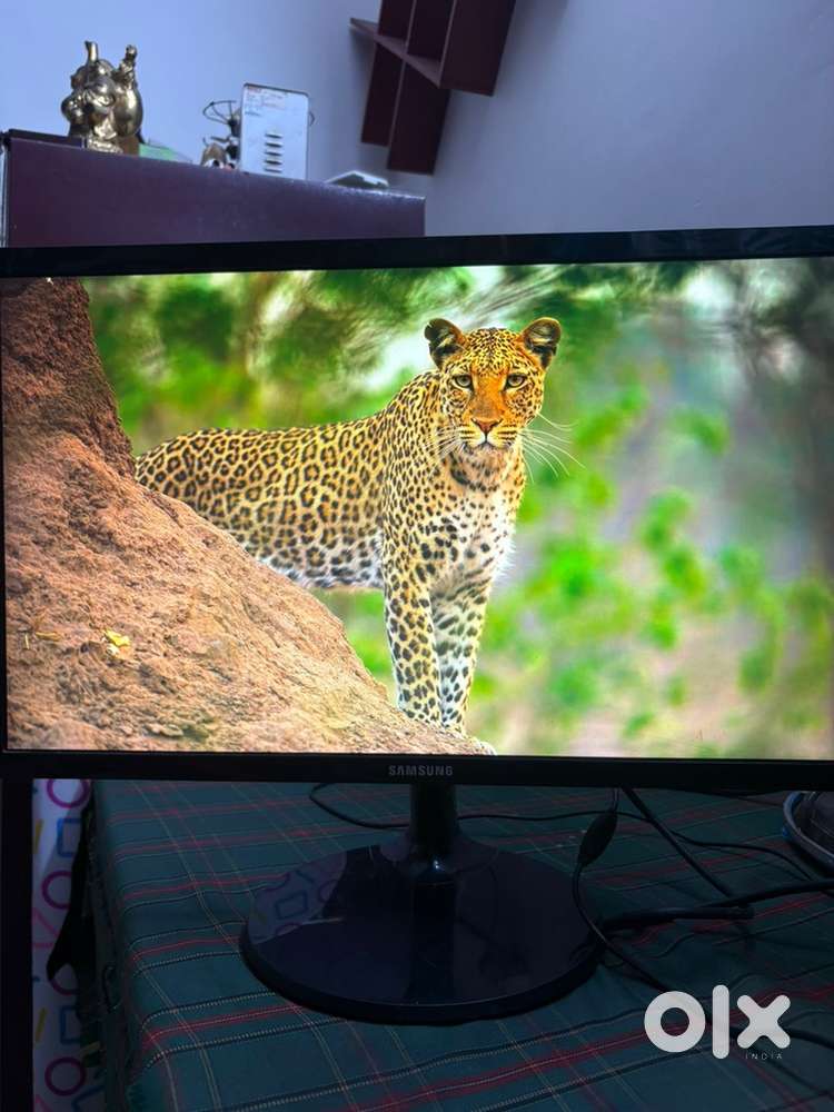 Samsung 22-Inch Full HD Monitor &ndash; HDMI + VGA