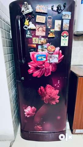 Old Buy Sell Fridges Online in India OLX
