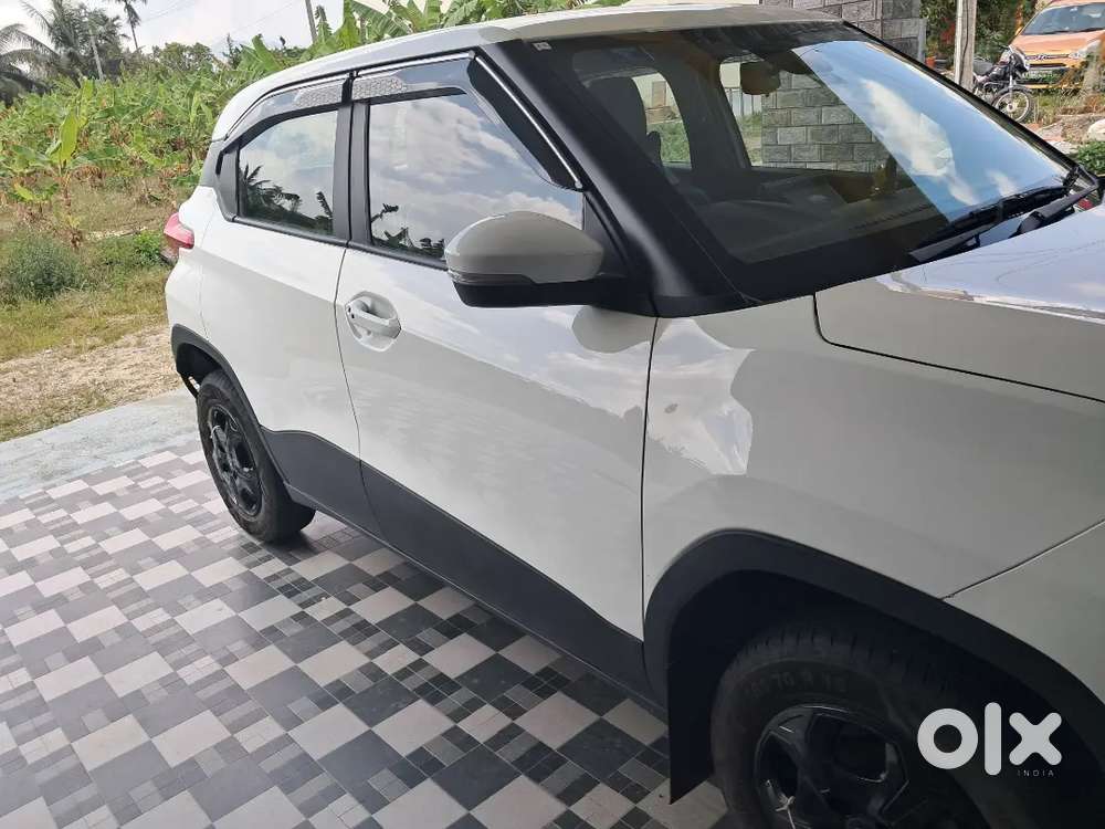 Accomplish Pluch Top 2 Very Ant Bat An Start