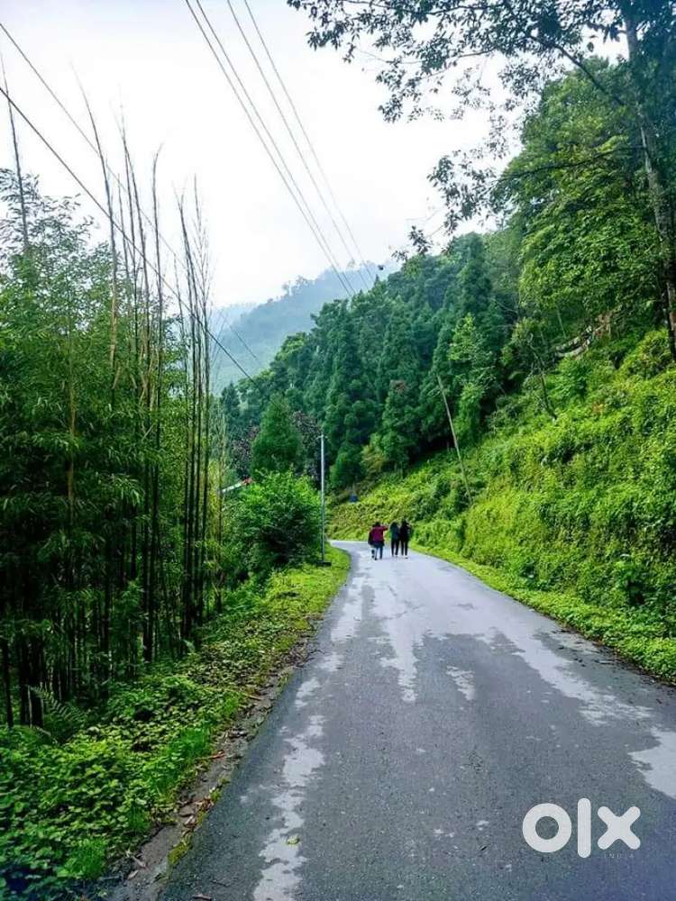 House or lands in kalimpong area For Sale Houses & Apartments