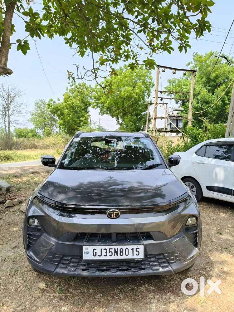 Nexon Smart Plus S Cng