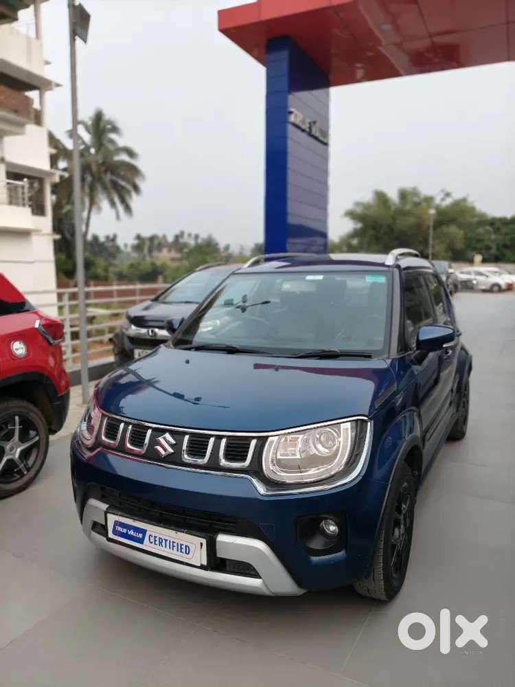 Ignis Alpha Mt