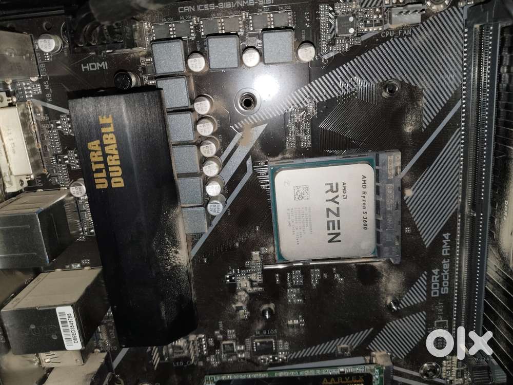 Ryzen 3600 processor and stock cooler with Computers