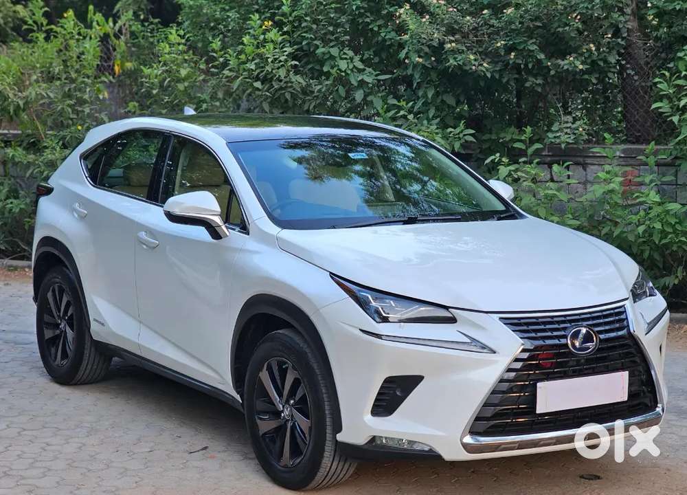 Lexus Nx 2019 Luxury Petrol