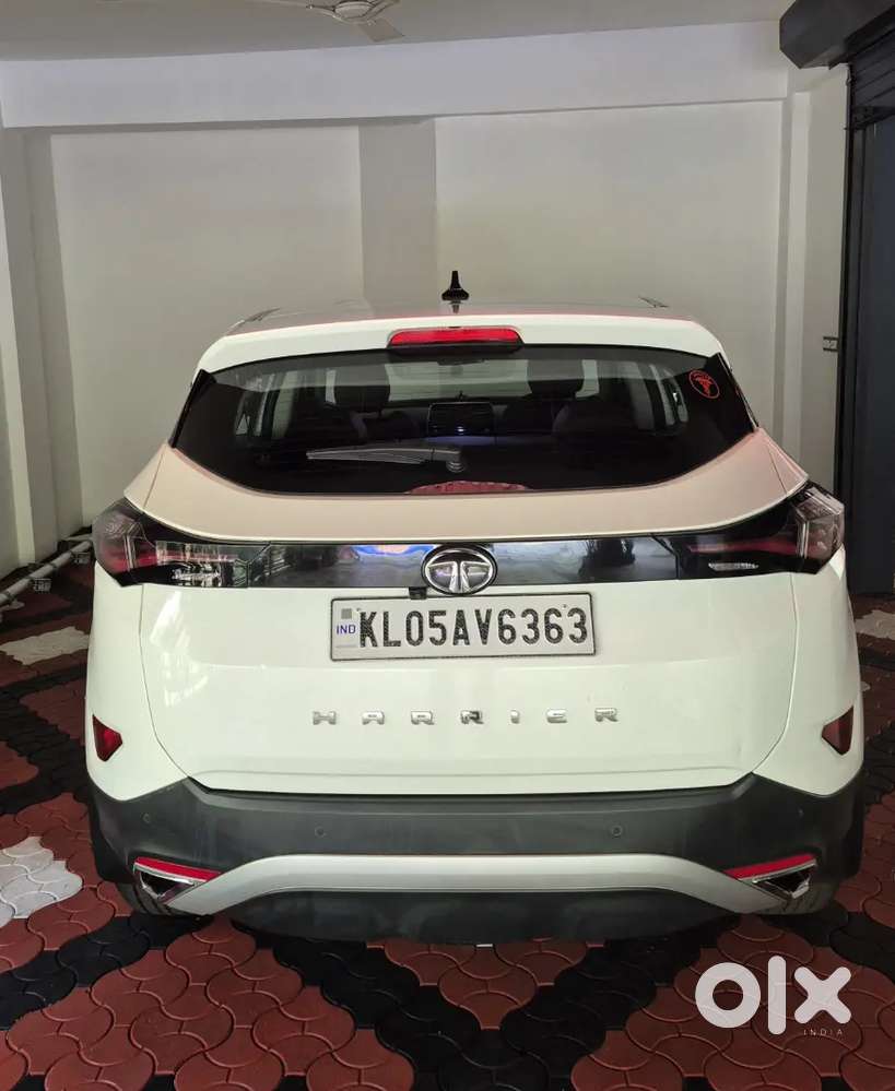 Doctor's  Harrier 2020