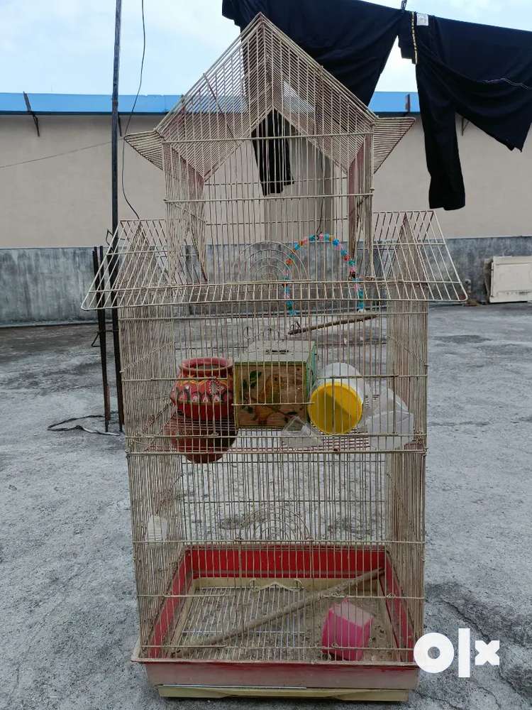 Bird cage hot sale in olx