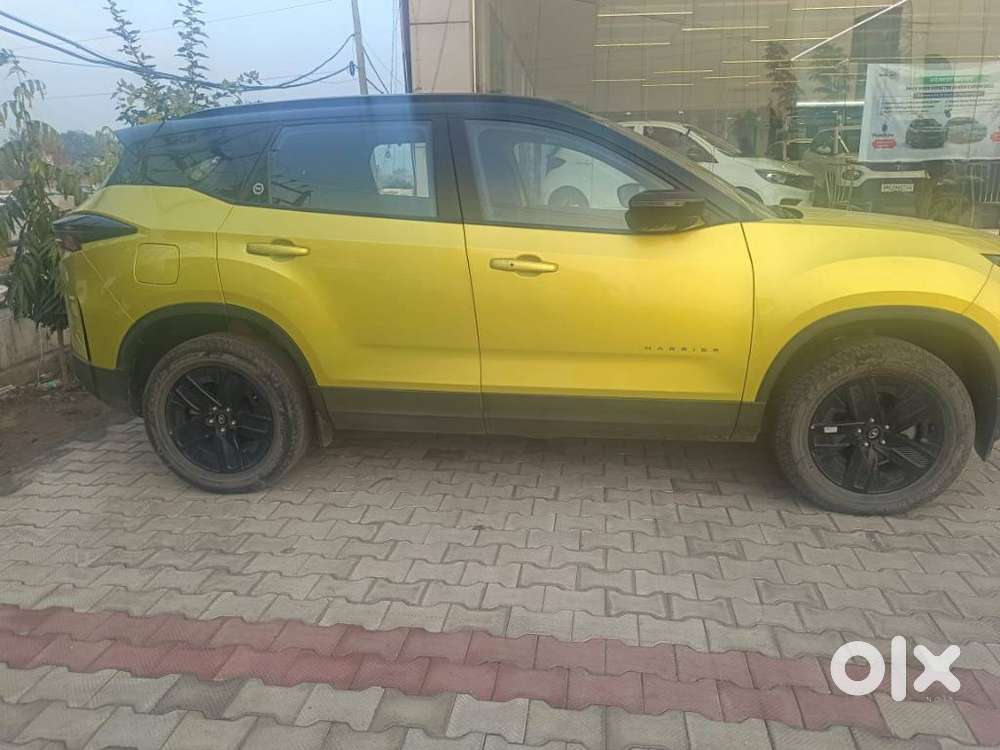 Tata Harrier Fearless X Plus At, 2023, Diesel