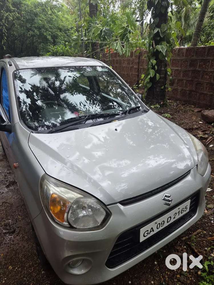 Alto 800 Car For Sale
