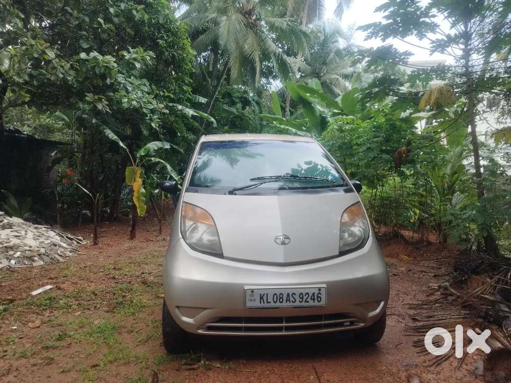 Tata Nano 2010 Petrol 36000 Km Driven