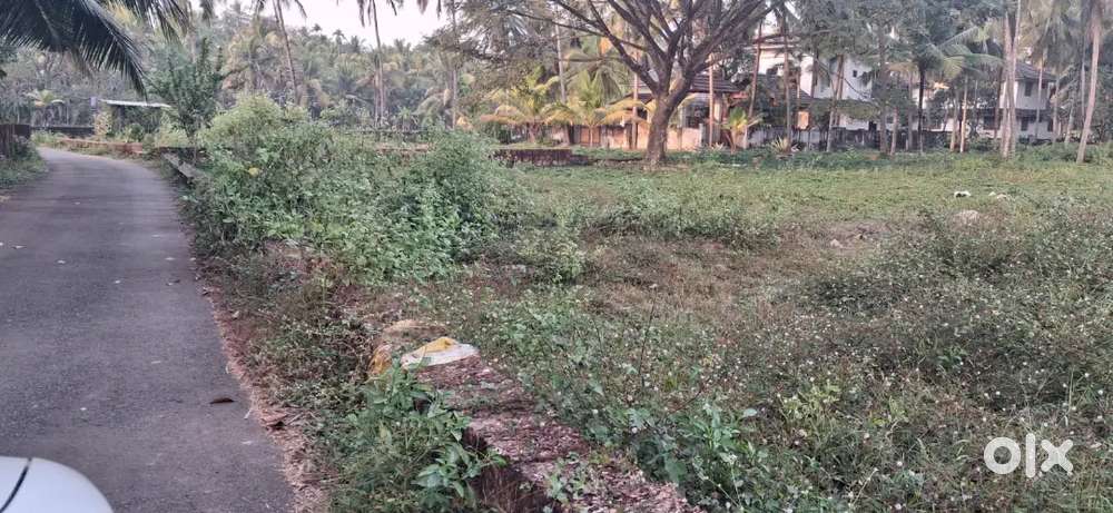 10 cent square plot for sale at nut street, vadakara