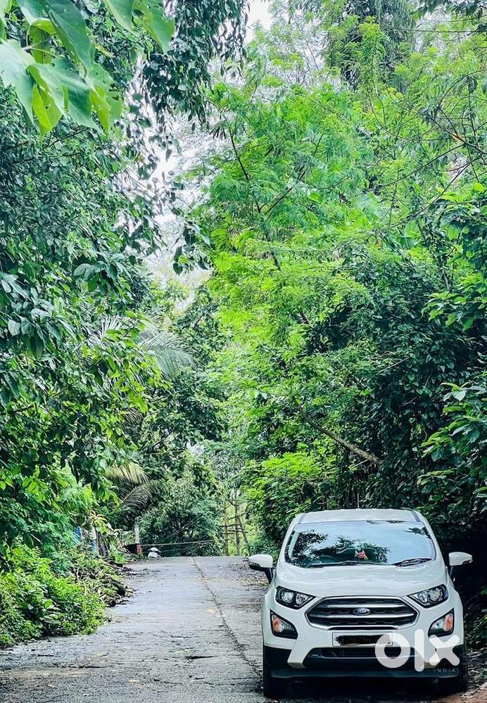 Ford Ecosport 2018 Petrol 49000 Km Driven