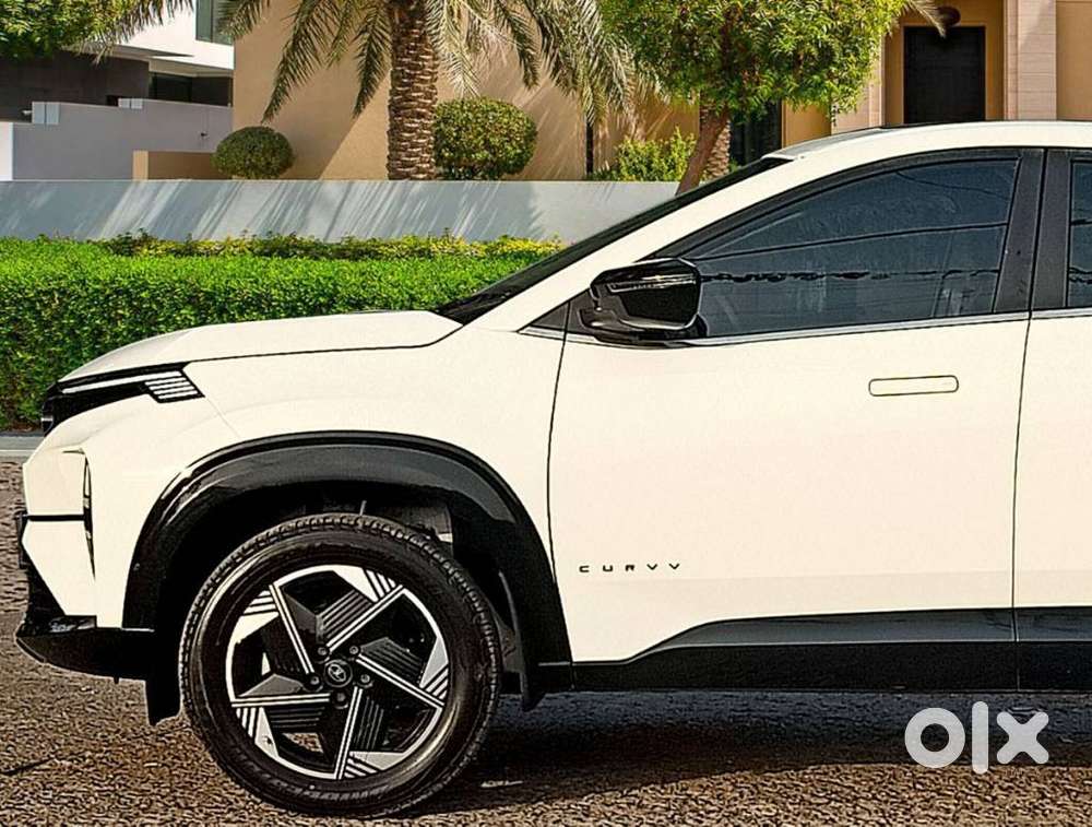 Tata Curvv Pure Plus S 1.2 Revotron Petrol 6mt, 2024, Petrol