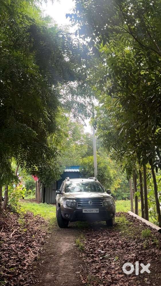 Renault Duster Diesel 2015