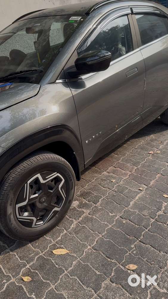 Tata Curvv Petrol 2025 Automatic 7dca