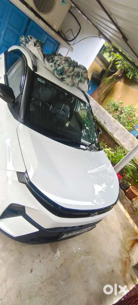 Tata Nexon 2026 Petrol Well Maintained
