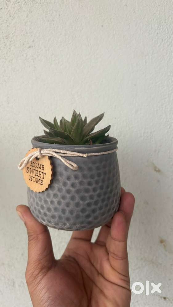 Ceramic Pots
